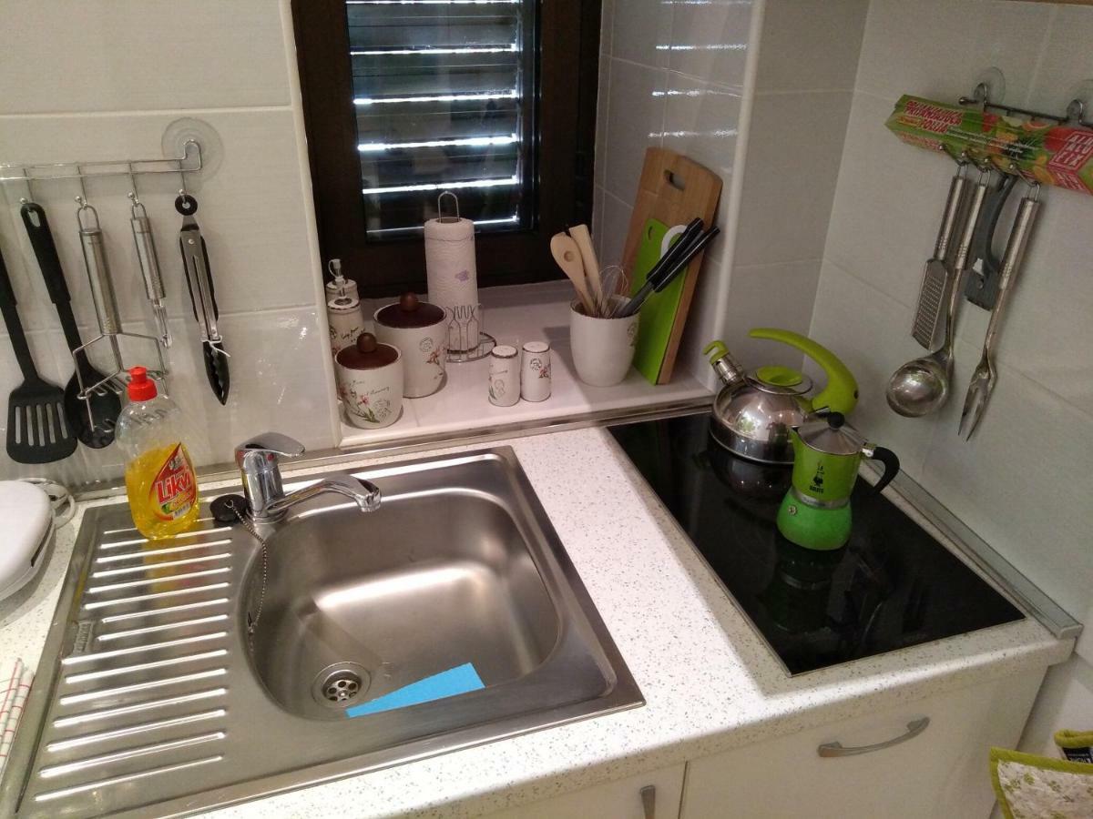 Central Zagrad Apartment リエカ エクステリア 写真